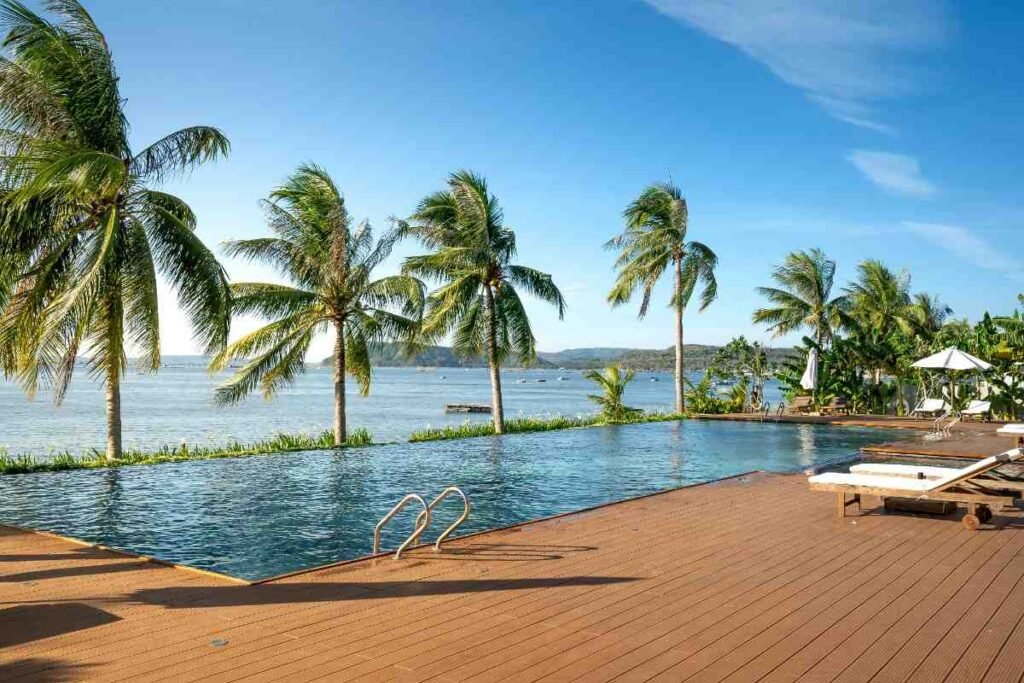 Infinity edge pool with palm trees in one side