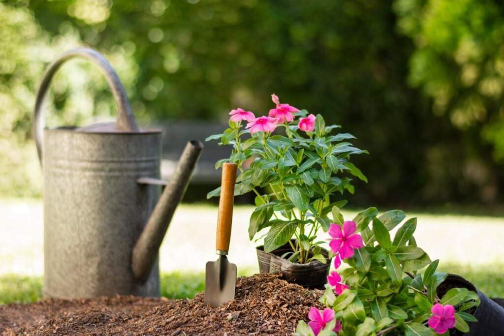 plants gardening tools with flower