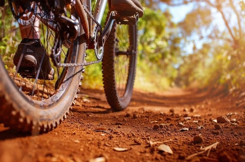 A below view of bike in trail