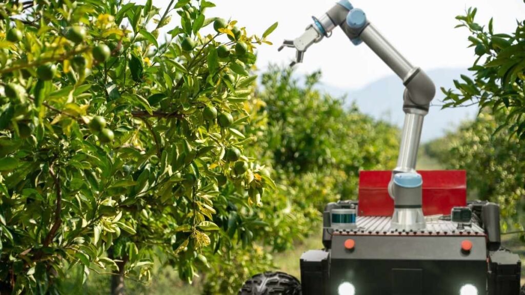 Harvesting Robot in a farm