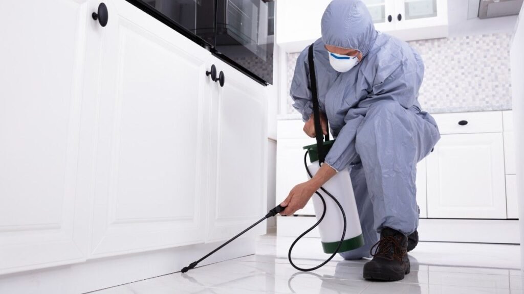 A man spraying in kitchen 